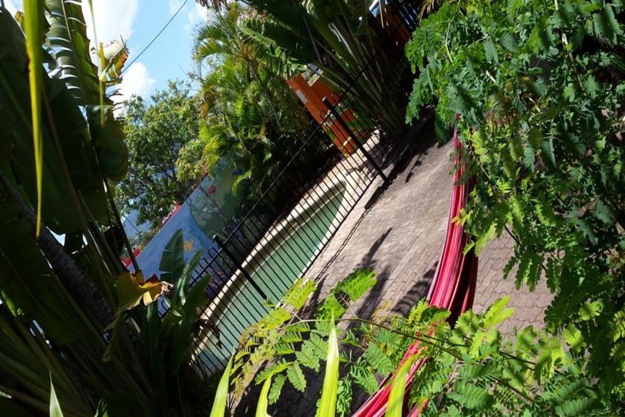 Jjs Backpackers Hostel Cairns Exterior photo