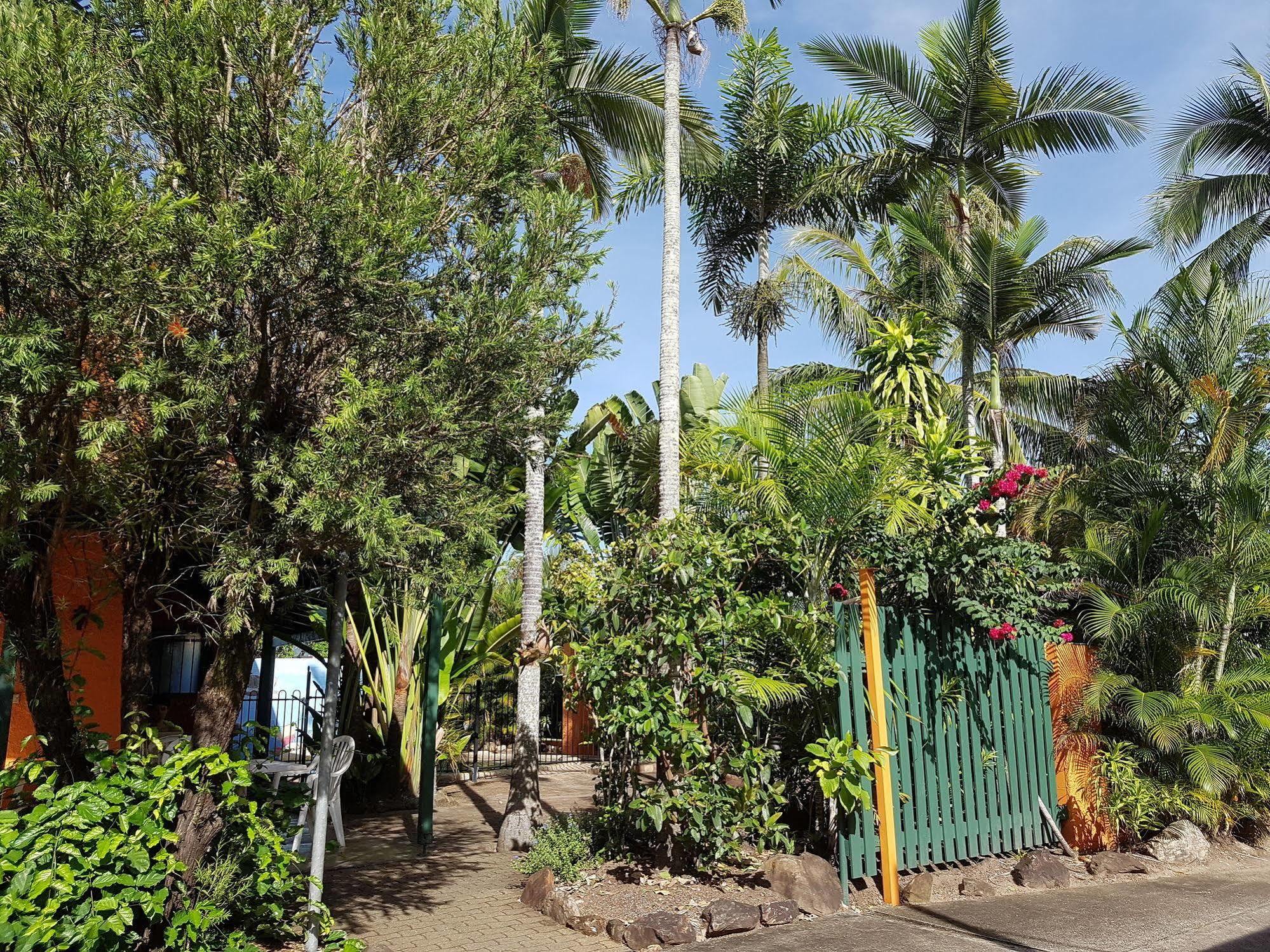 Jjs Backpackers Hostel Cairns Exterior photo