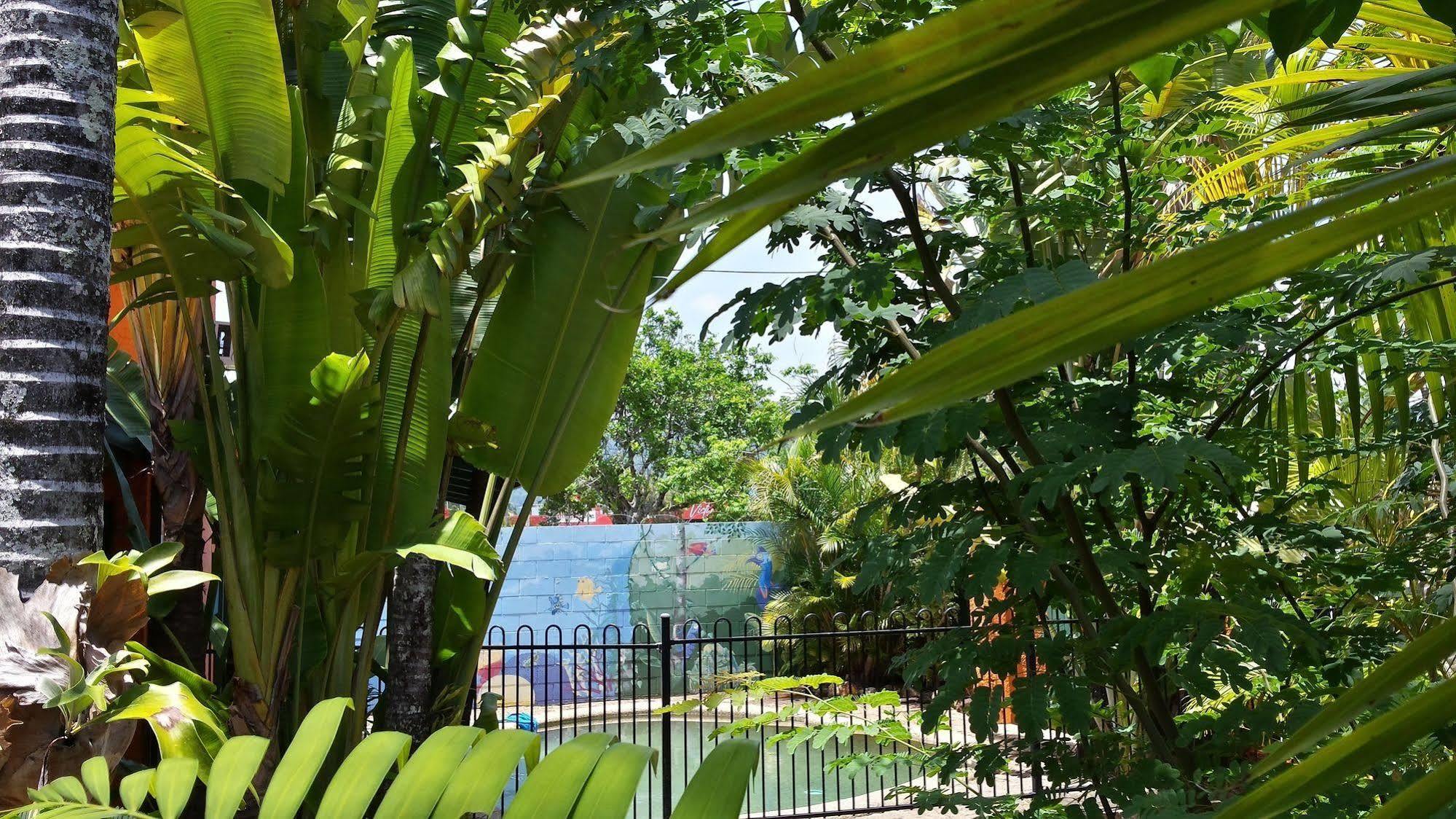 Jjs Backpackers Hostel Cairns Exterior photo
