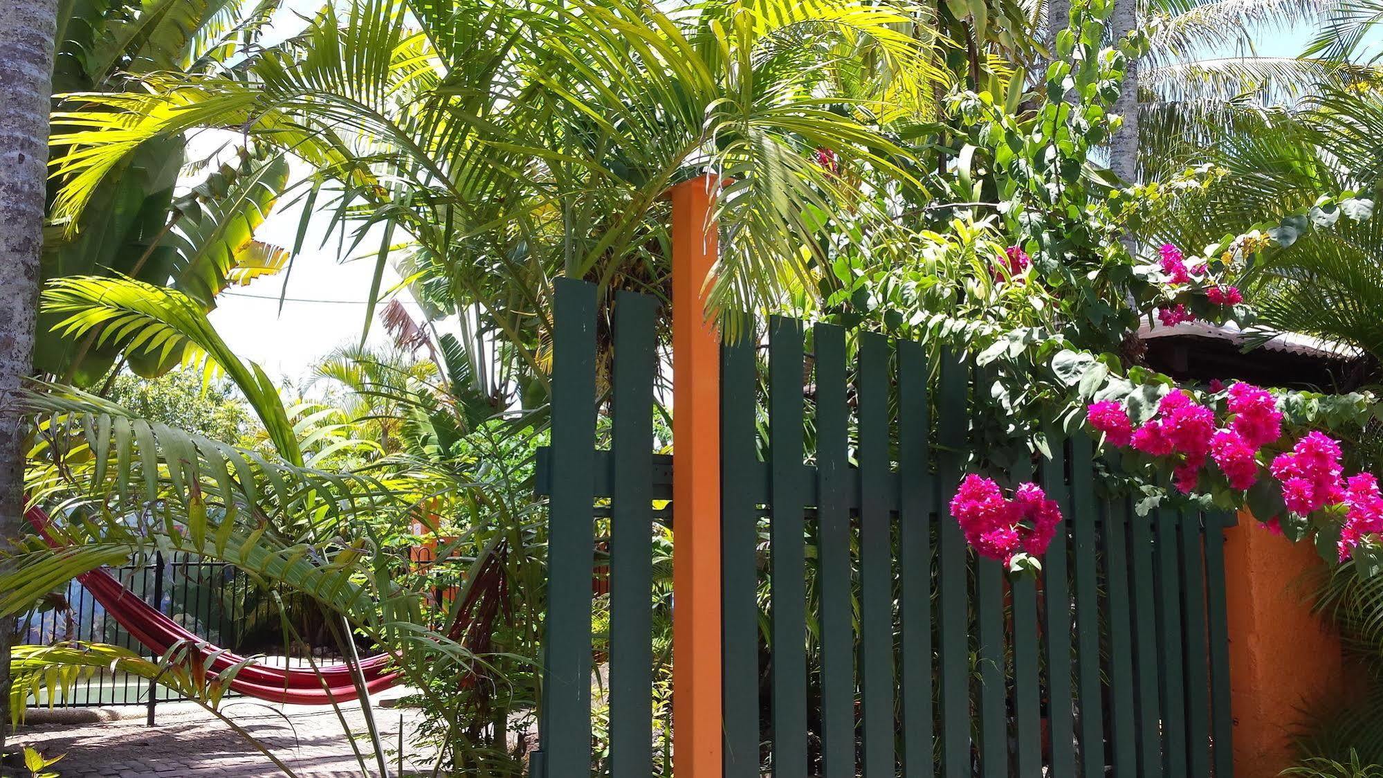 Jjs Backpackers Hostel Cairns Exterior photo