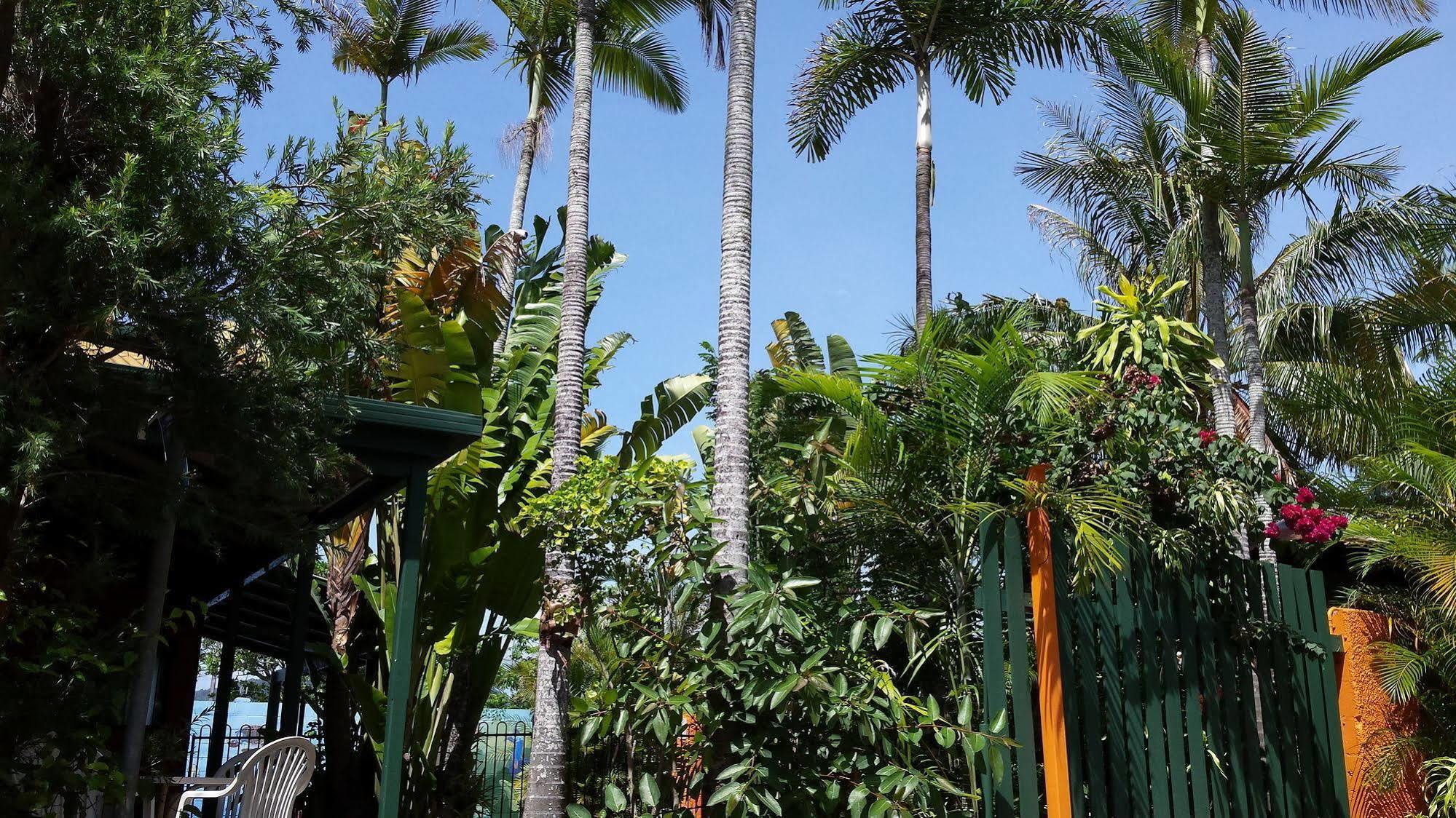 Jjs Backpackers Hostel Cairns Exterior photo